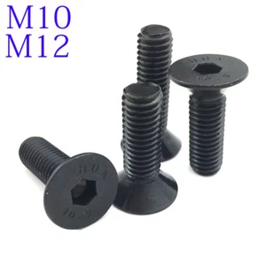 M10 M12 DIN7991 Black 10.9 Class Alloy Steel Hex Socket Countersunk Head Screw - Picture 1 of 5