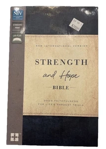 Strength And Hope Bible NIV Lay Flat Ribbon Marker Faithful Inspirational Gift - Picture 1 of 16