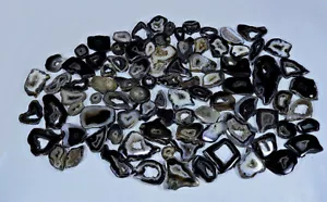 LOTTO ALL'INGROSSO CABOCHON FETTA NERA NATURALE MI314 - Foto 1 di 7