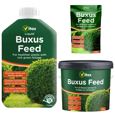 Vitax Buxus Feed For all Varieties of Buxus and  Buxus Sempervirens - Image 1 of 4
