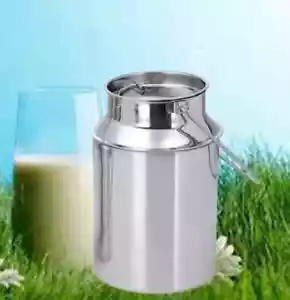 Stainless Steel Barni Milk churn can Container Ghee Pot with handle & lid sizes - Picture 1 of 4