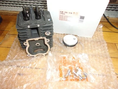 Stihl OEM FS131 Piston & Cylinder 43m 4180-020-1210 KM FS 131 HT131 HT #GM-R12C1 - Image 1 of 4