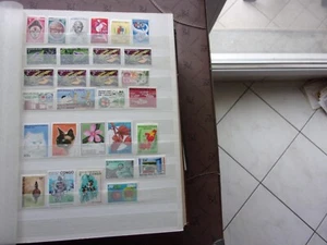 KONGO (Brazzaville) - 29 Briefmarken (Mehrheit n** postfrisch) (C) - Bild 1 von 1