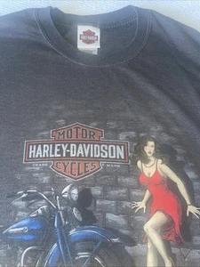 2007 4XL Smokey Mountain TN Harley Davidson T-Shirt Vintage Fade - Bild 1 von 17