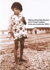 5 remembrance cards Holocaust Romany Gypsy French conc camp child horror 1941 - Picture 1 of 1