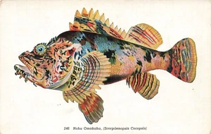 Fishes of Hawaii - Curteich Publisher - Linen era Postcard - Nohu Omakaha - Imagen 1 de 2