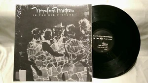 NAPOLEON'S MISTRESS - In The Big Picture, 1987 vinyl EP, private press, 6 tracks - Picture 1 of 2
