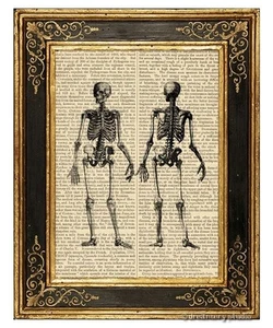 Full Body Skeleton Art Print on Vintage Book Page Medical Anatomy Decor Gifts - Picture 1 of 3