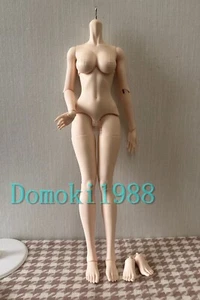 Muñeca 1/3 BJD Cuerpo de niña EID - Solo cuerpo (sin cabeza) + DHL - Imagen 1 de 6
