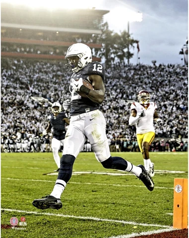 Chris Godwin Penn State Nittany Lions 2017 Rose Bowl Touchdown 11" x 14" Photo Cover