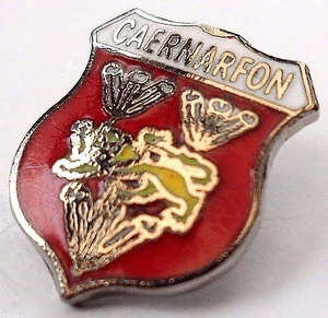 Caernarfon Town Crest Pin Badge - Picture 1 of 1