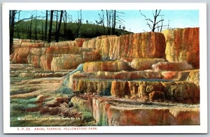 Vintage Wyoming WY Engel Terrasse Yellowstone Nationalpark 1920er Ansicht Postkarte - Bild 1 von 2
