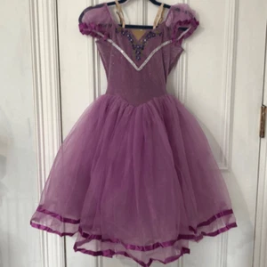 Fina Girl's Princess Cut Short Sleeve Purple Mesh Fit & Flare Gown Size L - Picture 1 of 5