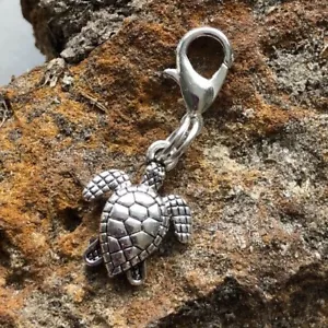 Tortuga Nativa Americana Plata Clip En Dije Colgante Buena Salud Larga Vida Regalo - Imagen 1 de 6
