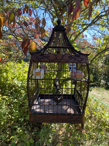 Chinese Wood Bird Cage, 4 Porcelain Feeders, Signed, Vintage, BIN Cover