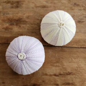 Erizos de mar púrpura claro/blanco - Juego de 2 - Venta al por mayor conchas de mar - Decoración de playa - Imagen 1 de 5