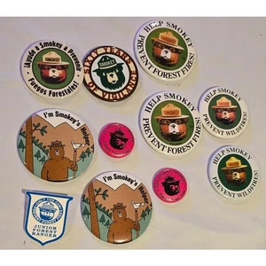 Vintage Smokey The Bear Badge Pin Lot - 11 Pins - Picture 1 of 5