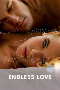 Endless Love (Blu Ray, 2014) *DISC ONLY* NO CASE NO TRACKING - Picture 1 of 2