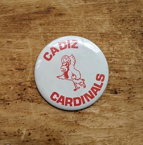 VTG Cadiz Ohio Cardinals Dome Pinback Button Pin Sports Football - Picture 1 of 4