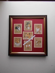 TARJETAS COMERCIALES ROUGH COLLIE ENMARCADAS - Imagen 1 de 1