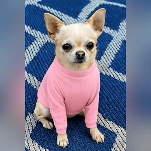 NUEVO SIN ETIQUETAS Camisa para Perros Top Sudadera Rosa XS Cuello Alto Ropa para Mascotas - Imagen 1 de 4