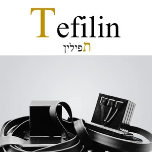TEFILLIN Classic | Jewish Prayer Tephillin. Includes Bag and Straps - Picture 1 of 5