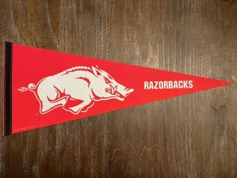 Arkansas Razorbacks Classic Pennant Cover