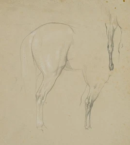 F. LOSSOW (1837-1872), Pferdestudie, Kruppe und Lauf, Bleistift Realismus - Picture 1 of 8