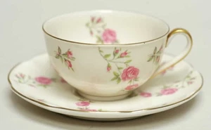 Haviland Delaware  Cup & Saucer 189814 - Picture 1 of 1
