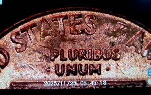 Struck Through Grease Rev ~ 1970 D Lincoln Memorial Cent 1C ~ Mint Error Penny - Picture 1 of 3