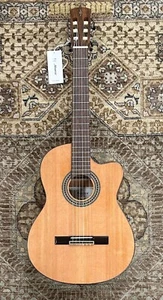 Alvarez Artist Series AC65CE Acoustic-Electric Classical w/ Cutaway, Pro Setup - Picture 1 of 9