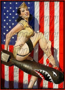 SEXY PIN UP GIRL AMERICAN FLAG BOMBER TOOLS GUNS STICKER - Picture 1 of 1
