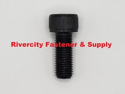 RIVERCITY FASTENER & SUPPLY (1) M10-1.25x25 Socket Allen Head Cap Screw Fine Thread M10x1.25x25 Screws Bolts