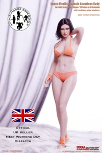 1/6 Phicen TBLeague S28A Buchse superflexible Buchse nahtlos Buxom *UK-BESTAND* - Bild 1 von 9