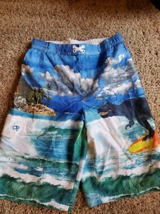 OP Ocean Pacific Boys XL 14-16 T-Rex Dinosaur Swim Trunk EUC - Picture 1 of 5