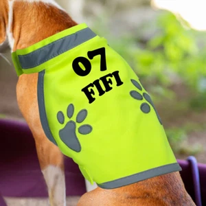Personalized Pet Dog Safety Vest w/Name Reflective Cat Coat Clothes for Hunting - Picture 1 of 13