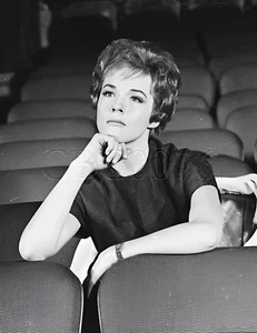 Julie Andrews 8x10 Foto 101425-14 - Bild 1 von 1