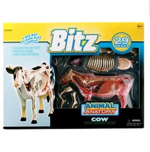 Modo VISIBLE COW Veterinary Educational Animal BOVINE Anatomy Model 4D Master - Picture 1 of 12