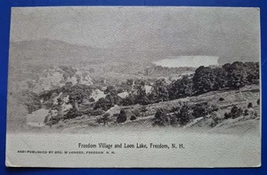 Freedom, NH.  Freedom Village and Loon Lake - 1910s Postcard - Picture 1 of 2