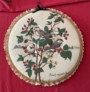 Trapunto Black capped Chickadee Fabric Embroidery Hoop Art Lace Ruffle Vintage - Picture 1 of 5