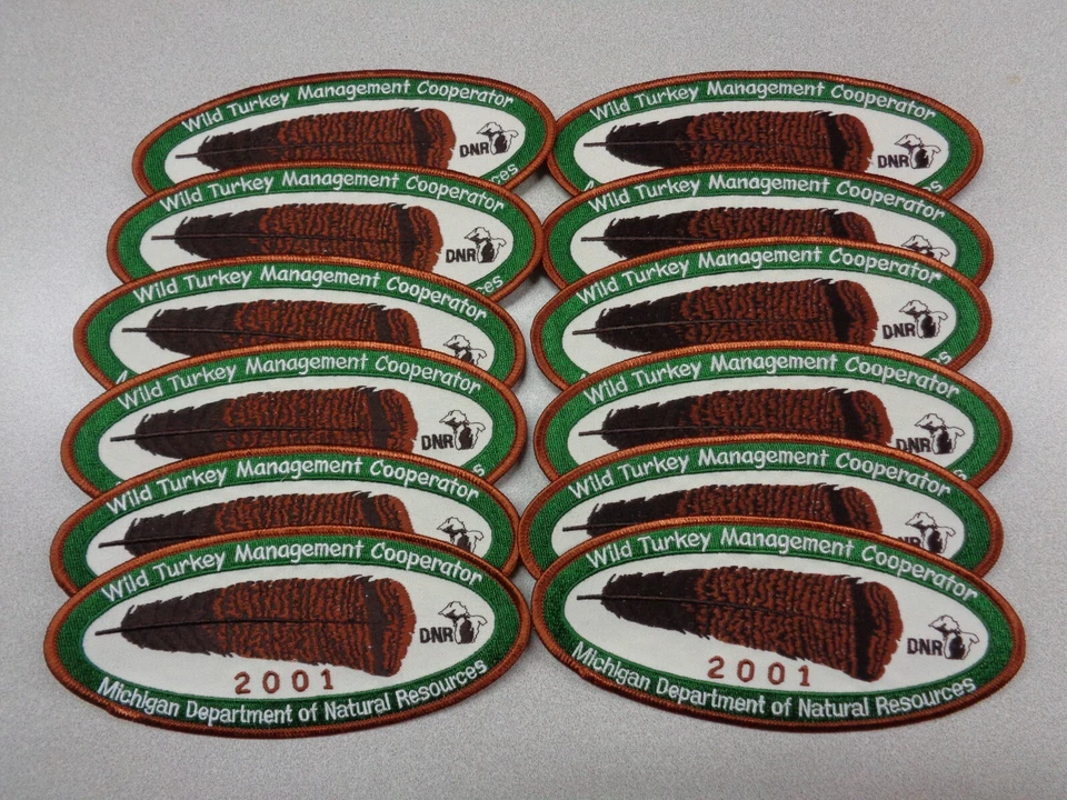 "LOT" OF 12 - "2001" MICHIGAN SUCCESSFUL DNR TURKEY HUNTING PATCHES - DEER-BEAR - Image 1 of 1