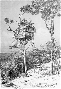 NOUVELLE-GUINÉE - HABITATION de MONTAGNARDS KOYARI (PORT-MORESBY) - Gravure 19e - Picture 1 of 2