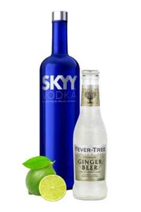 Vodka Sky 1lt & Indian Tonica (12 bottigline) - Foto 1 di 1