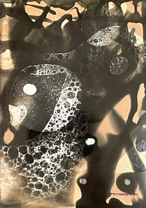 Tonito Original art Chemigram.KODAK Silver RC Paper.Alternative photography 26 - Picture 1 of 2