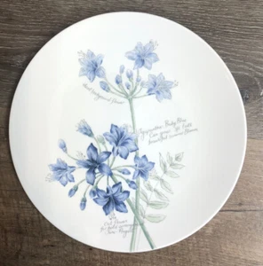 Lenox, Artist Sketchbook, Agapanthus Iris, Dinner Plate ~new~ - Picture 1 of 5