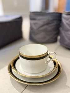 Richard Ginori 1735 Palermo Schwarz Italien Porzellan Tasse & Untertasse Teller Trio x 12 - Bild 1 von 16