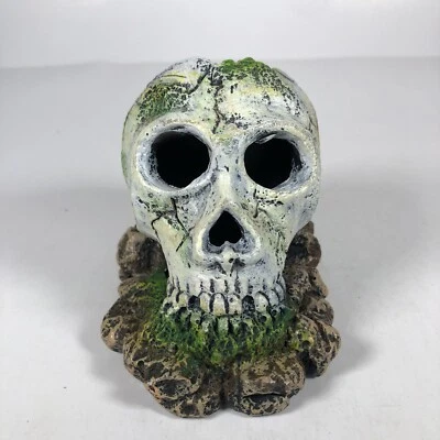 Acuario tanque cráneo ambientes exóticos Foto 1 de 4