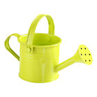 Garden Flower Kettle Mini Small Water Spraying Pot Metal Watering Can Sprinkled