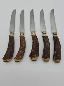 Set Of 5 Sheffield England Stag Horn Steak Knives Stainless Carson Pirie Scott - Picture 1 of 10