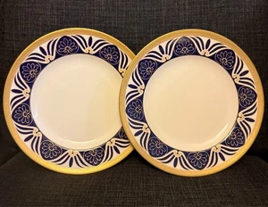 2er Set Royal Worcester Corinth Akzent Mittagessen Salatteller 9 1/4" England - Bild 1 von 12